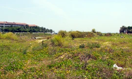 Lô đất ven biển ở Đà Nẵng được giao cho một chủ dự án không có thật. Ảnh: N.Đ