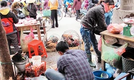 Đẩy mạnh cam kết ATTP đối với cơ sở sản xuất nhỏ lẻ