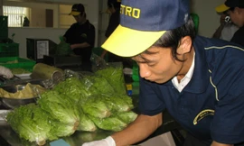 Rau cao cấp Đơn Dương được đưa vào chế biến trong hệ thống METRO