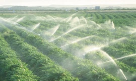 Giải pháp cung cấp nước cho nông nghiệp mùa khô