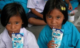 Chương trình Sữa học đường trên thế giới đã được triển khai từ rất sớm tại 60 Quốc gia như Nhật Bản, Thái Lan, Trung Quốc, Hoa Kỳ, Anh…