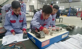 Các trường đào toạ nghề hoạt động ngày càng hiệu quả, tuyển sinh được cải thiện từng năm, và có tới hơn 85% học viên nghề ra trường có việc làm với thu nhập tốt.