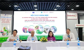 Công bố 2 hoạt chất mới giúp hạ đường huyết mạnh trong Dây thìa canh Việt Nam