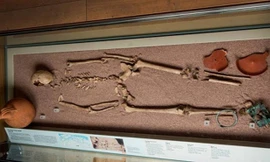 Bộ xương người phụ nữ mang nhiễm sắc thể nam. Ảnh: Bảo tàng London.