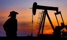 Giá dầu bất ngờ lao dốc, người ôm cổ phiếu dầu khí ngồi trên lửa