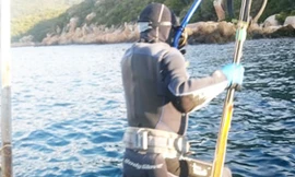 Từng người lặn sẽ được thả ở từng điểm riêng biệt