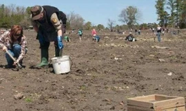 Công viên là mỏ kim cương lộ thiên, khách du lịch đổ xô tới đào xới tự do