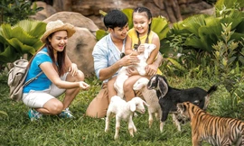 Các công tác giáo dục công chúng về tầm quan trọng của chăm sóc và bảo tồn động vật hoang dã luôn được chú trọng tại Vinpearl Safari