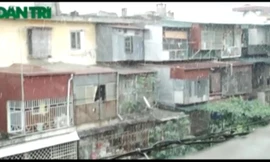 Nỗi khổ sống trong khu tập thể xuống cấp tồi tàn