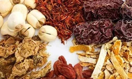 Những người không nên dùng rượu thuốc