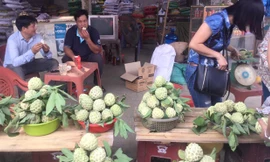 Trái na ngon, bổ, lành Chi Lăng đang hút khách *ảnh: Duy Chiến