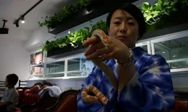 Quán cà phê dùng rắn làm 'nhân viên' ở Nhật Bản