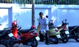 Ông Trâm rắc thóc xuống hè phố và những hình ảnh chim sẻ bay lên, sà xuống ăn thóc