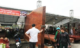 Sập gỗ Cẩm Lai 'khủng' giá hơn 4 tỷ đồng ở Bắc Ninh