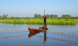 Người làm nghề đẩy côn có thu nhập tương đối ổn định. Ảnh: Ngọc Trinh.