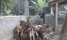 Agribank tập trung nguồn vốn sản xuất, kinh doanh và chủ động đẩy lùi tín dụng đen 