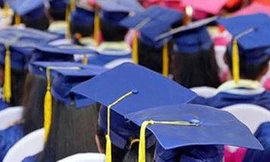 Quy trình đào tạo tiến sĩ tưởng "con kiến không qua nhưng con voi vẫn lọt". Ảnh minh họa