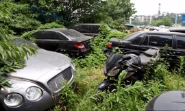 Bí ẩn dàn siêu xe của đại gia Trung Quốc bị bỏ lại trong rừng