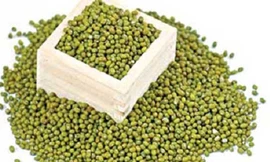 Đậu xanh còn được sử dụng làm thuốc cả cây, lá, rễ và hạt. 