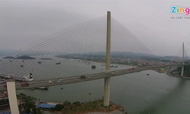 Cây cầu dây văng đẹp nhất Quảng Ninh