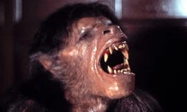 Tạo hình nhân vật người sói trong phim American Werewolf. Ảnh: Mirror