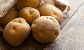 Khoai tây là loại tinh bột giàu chất xơ và dinh dưỡng nhưng lưu ý khi chọn khoai tây để tránh loại đã mọc mầm - Ảnh: Shutterstock