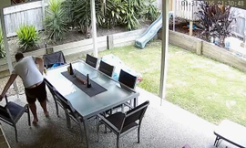 Chó bảo vệ chủ thoát rắn nâu cực độc