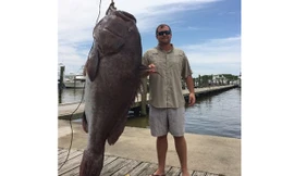 Khuất phục cá mú đen 135 kg bằng cần câu