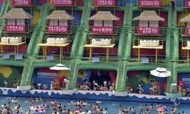 Những tấm biển màu hồng cỡ lớn cùng dòng chữ "Cấm sex" dán chi chít khắp hồ bơi