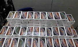 (Ảnh minh họa: Anh Tuấn/TTXVN)