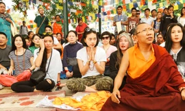 Tại chùa Hòa Bình, Ngô Thanh Vân và hơn 100 doanh nhân trên toàn thế giới có cơ hội tham dự buổi lễ đọc kinh Phật dưới tán cây bồ đề cùng hơn 100 vị Tăng. Ảnh: NVCC.