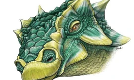 Hình vẽ mô phỏng phần đầu của khủng long đuôi chùy Zuul. Ảnh: Bảo tàng Hoàng gia Ontario.