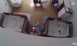 Anh 9 tuổi dũng cảm đỡ em bé rơi từ trên bàn trong chớp mắt