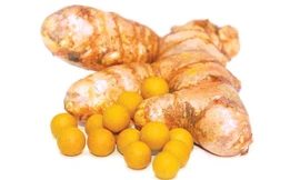 Ảnh: Thái Nguyên 