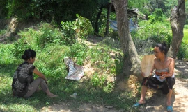 Vật vờ với nắng nóng, oi bức