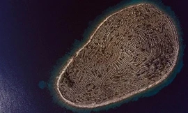 Giải mã bí ẩn về dấu vân tay khổng lồ giữa đại dương