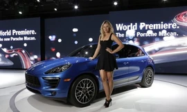 "Macan" trong tiếng Indonesia có nghĩa là con hổ. 