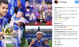 Fabregas và cái duyên thêm con là thêm... chức vô địch