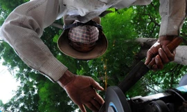 'Đệ nhất' mài dao kéo Bình Định ở Sài Gòn