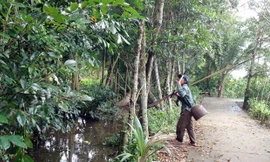 Ông Đoàn có đến 30 năm trong nghề săn tắc kè. 