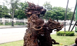 Tận thấy bộ bàn ghế gù hương 'rồng cuốn, hổ ngồi' ngàn tuổi