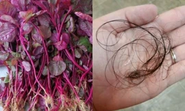 Gội đầu bằng nước này trong 2 tuần, tóc rụng mấy cũng giảm
