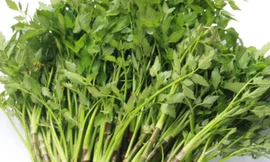 Ảnh minh hoạ: Internet