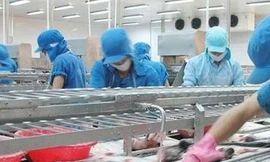 Người đưa MC Fish Việt Nam 'vượt biển'