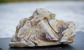 Vật thể hơn một kilogram nghi là long diên hương được cha con Alan tìm thấy trên bãi biển. Ảnh: SWNS.