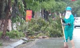 Hải Phòng chịu thiệt hại khá nặng do cơn bão số 3.