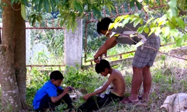 Thầy Sứ đang cắt tóc cho các em học sinh của trường
