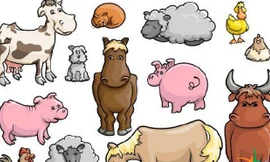 Phòng ngừa chó, mèo gây bệnh cho người