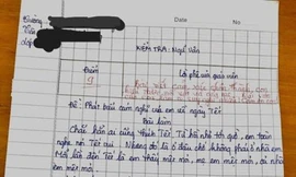 Bài văn ghét Tết vì mẹ khổ: Truyền thống hay hiện đại?