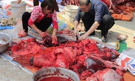 Rùng mình cảnh đánh, ăn tiết canh thản nhiên giữa Thủ đô